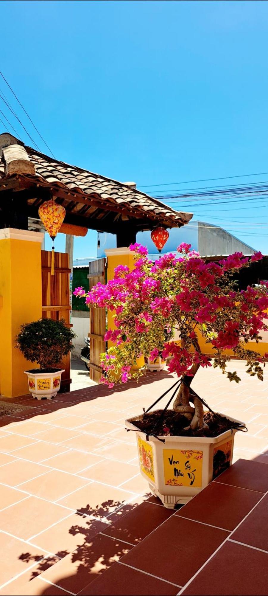 Pho Homestay Mui Ne Exteriör bild